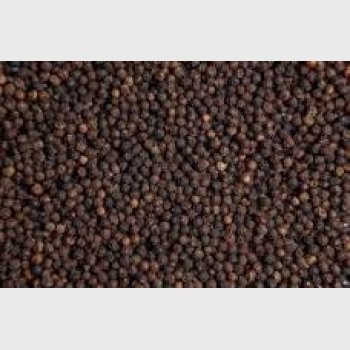POIVRE GRAIN